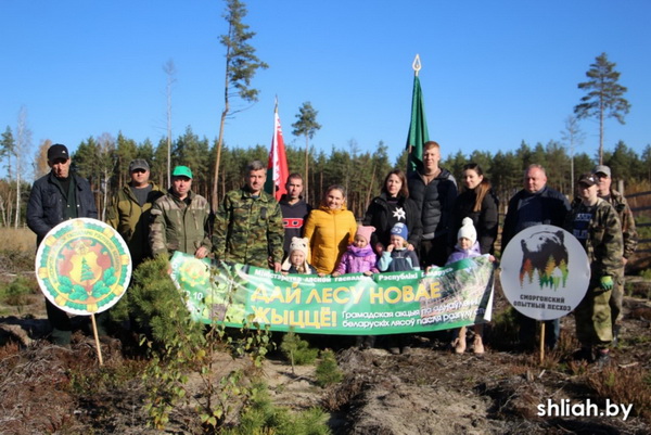 Ребята из дошкольного лесничества "Медвежата" приняли участие в акции "Дай лесу новую жизнь"